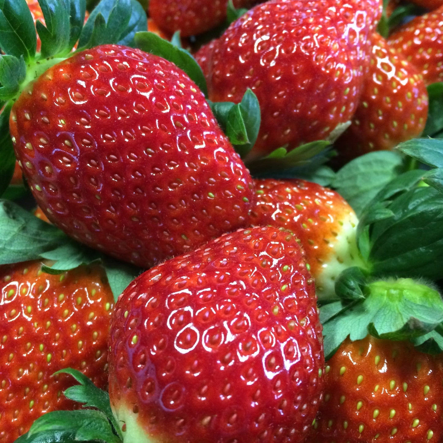 いちごドレッシング